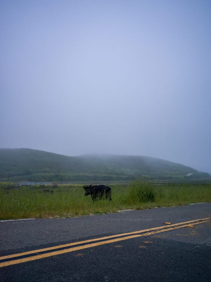Point Reyes Station